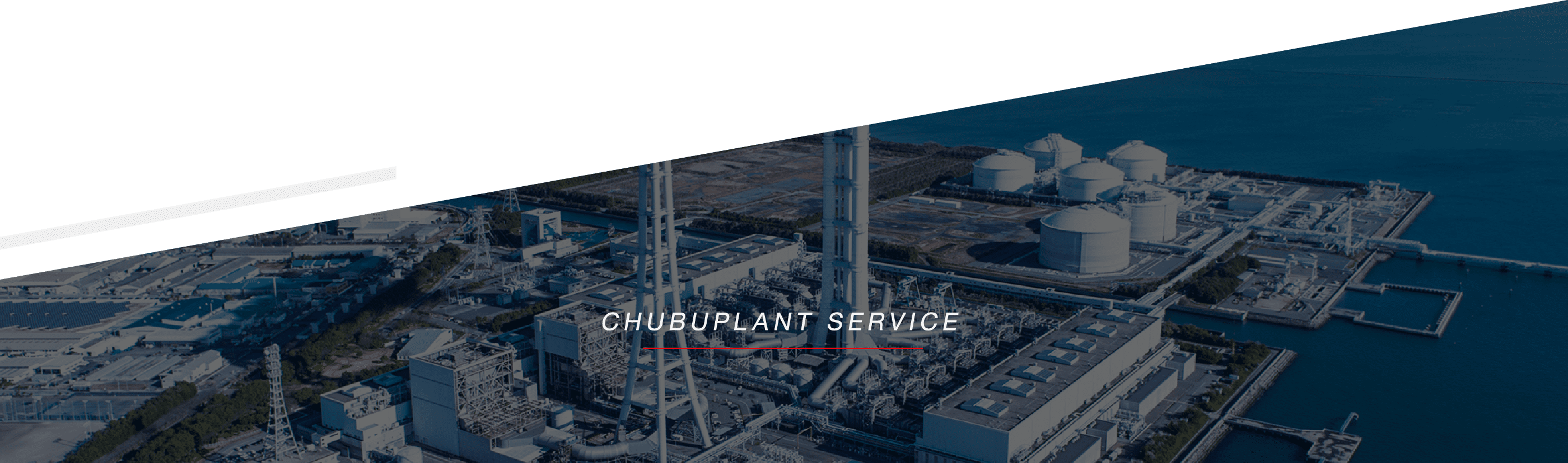 CHUBUPLANT SERVICE